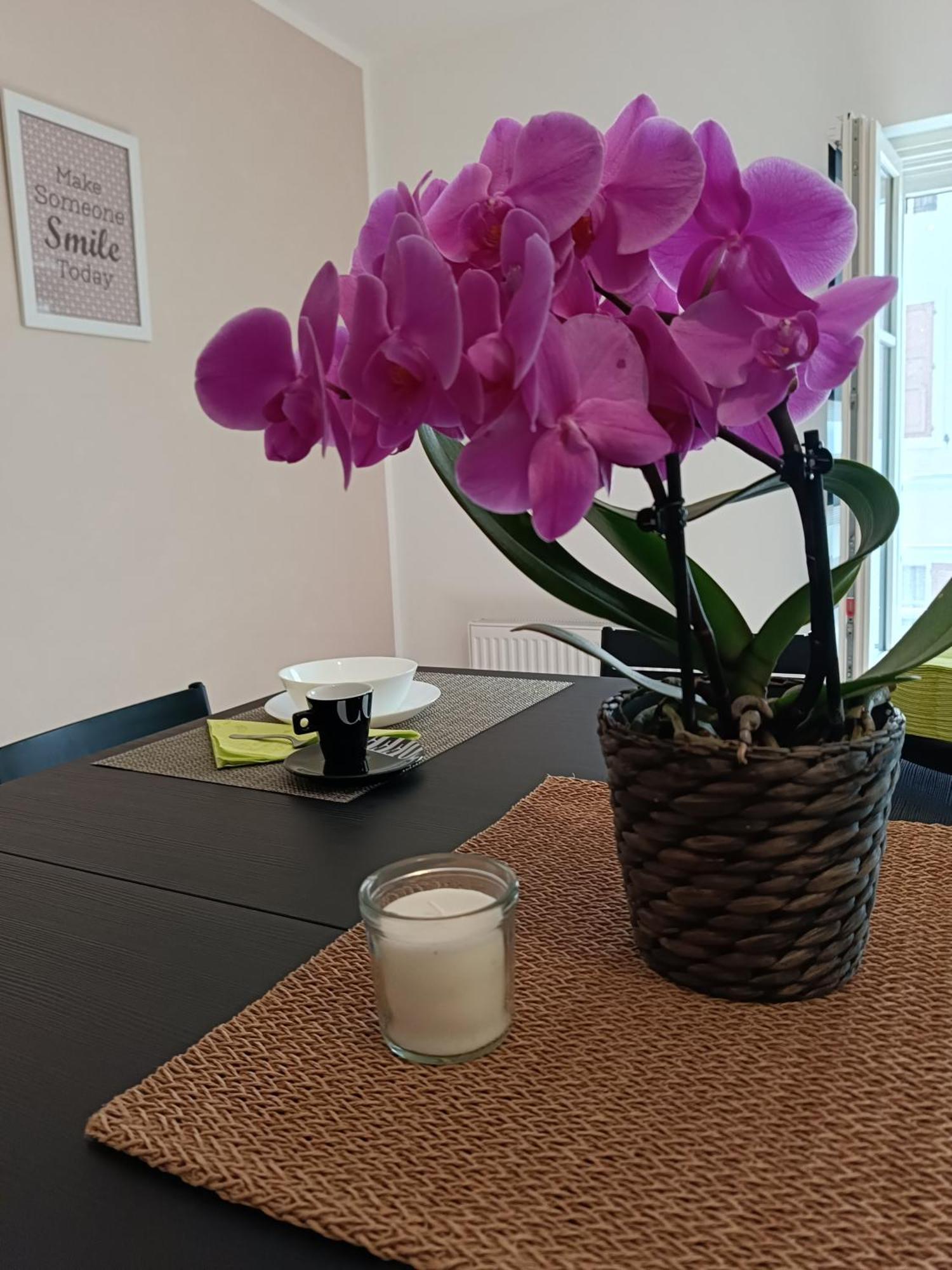 Affittacamere La Loggia 벤조네 외부 사진